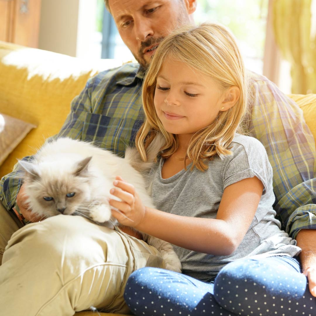 Drug & Alcohol Recover Center Drug & Alcohol Recover Center - Father and Daughter Petting Cat