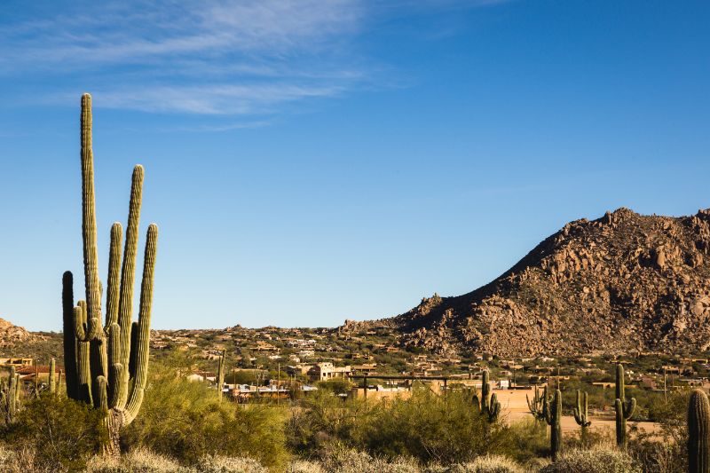 saquaro and landscape in Scottsdale, Arizona
